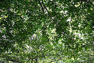 《茶杯头》为何不给BOSS加血条：营造卡通片氛围